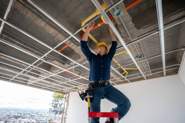 Best Plumbing Inspection Services  in Pelican Bay, FL